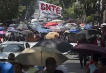 Maestros de la CNTE se van a paro de 48 horas: ¿Qué puntos de CDMX bloquearán este 13 y 14 de noviembre?
