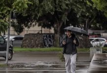 Frente frío 17: ¿Cuándo ingresa al país y qué estados afectará?