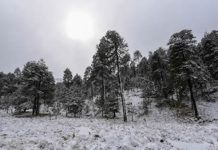 Frente frío 15 todavía no se va… pero ya se acercan el 16 y la primera tormenta invernal