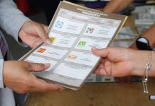 Tras críticas, PVEM y PT suavizan su discurso sobre la reforma electoral