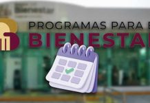 Pensión del Bienestar 2026: Este es el calendario de pagos para bimestre enero- febrero
