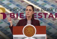 Sheinbaum ‘borrará’ pensiones millonarias del Gobierno: Ahorro de 5 mil mdp irá a programas del Bienestar