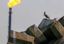 Exportaciones de crudo se desploman 44.6% en enero; quedan por debajo de la meta de Hacienda para enero