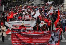 CNTE anuncia paro de 72 horas ante la falta de atención al magisterio