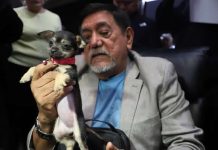 ‘Ningún familiar en el poder’: Salgado Macedonio acusa que en Morena hay nepotismo y señala a Luisa Alcalde