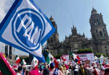 Por su alianza con el PRI, el PAN perdió la mitad de sus votos en 2024