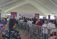 Sheinbaum propone que los ‘pluris’ también sean elegidos por el pueblo