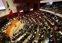Esperan señal unos 30 senadores para competir por alguna gubernatura