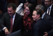 ‘¿Pedrada para Morena?’ Partido Verde prepara iniciativa contra el nepotismo administrativo