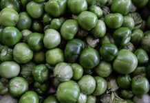 Precios de alimentos y fertilizantes escalan a nivel mundial