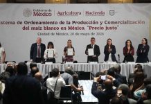 Firma gobierno acuerdo con productores para garantizar “precio justo” del maíz blanco