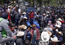 ‘El país pasará hambre’: Campesinos amenazan con impedir el Mundial 2026 si no eliminan granos básicos de T-MEC
