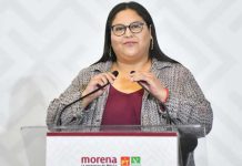 ‘Buscan confundir’: Morena desmiente lista sobre género para Coordinaciones Estatales de Morena