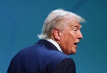 Gobierno de Trump limita protección de hábitats para especies en peligro de extinción
