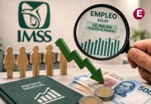 IMSS reporta caída de empleo en julio, pero mantiene cifra histórica y salario récord