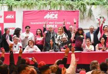 TEPJF: Partido Somos México debe cambiar nombre, emblema y colores antes del 31 de agosto