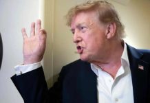 Trump reconoce avances de México contra el narco, pero exige más y perseguir a “funcionarios corruptos”