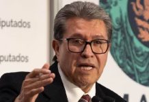 Contralor del INE explicará ante diputados las investigaciones contra Taddei: Monreal