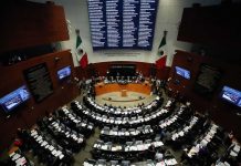Senado aprueba ley de pagos digitales; Hacienda podrá definir dónde serán obligatorios