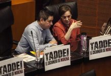 ‘El cochinero de Taddei sí es de Morena’, acusa la oposición en el Senado y oficialismo se deslinda