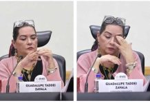 PRI y Somos piden la renuncia de Taddei al INE si no comprueba inocencia frente a probable conflicto por proveedores