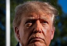 Trump se ‘llena los bolsillos’ con nosotros: México aporta 8.3% de recaudación de aranceles de EU