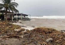¿Hay ‘chance’ de que tormenta ‘Simón’ y huracán ‘Trudy’ se fusionen frente a México? Esto dijo el SMN